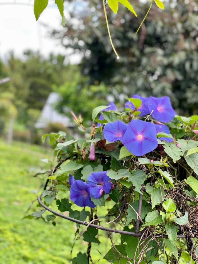Tip House Βίλα Khao Kho Εξωτερικό φωτογραφία